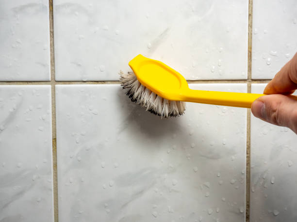  Wapakoneta, OH Mold Removal Pros
