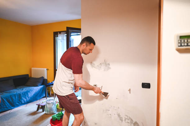 Best Black Mold Removal  in Wapakoneta, OH